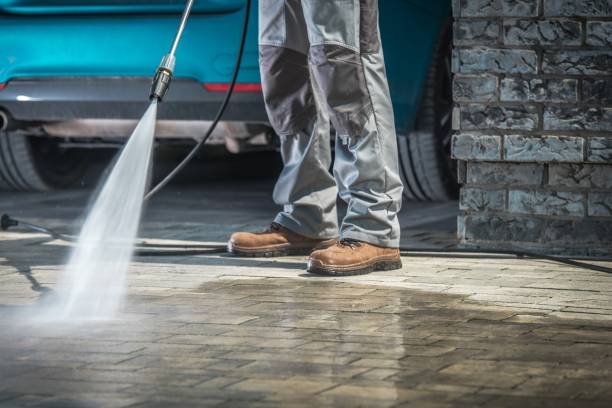 Animal Enclosure Cleaning in Montello, WI